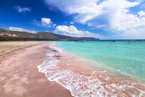 Chania: 1-dniowa wycieczka na plażę Elafonisi z lokalną fabryką miodu