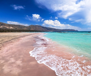 Chania: Elafonisi strand dagtrip met lokale honingfabriek