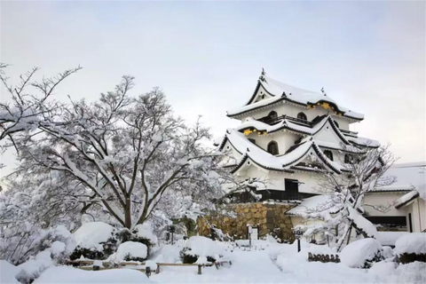 Iga: Lake Biwa Architecture & Miho Museum Day Trip Osaka