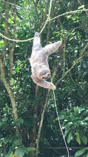 Manuel Antonio Park Nature Guided Tour - Hizvo