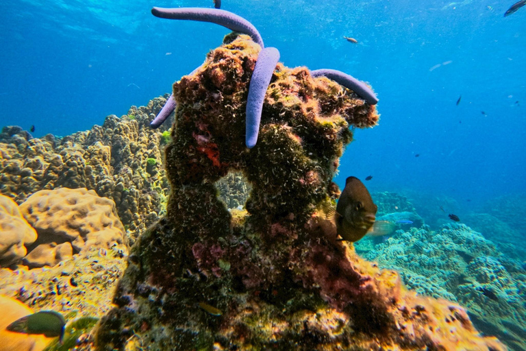 Phuket: Racha Yai Scuba Diving & Snorkeling Experience Fun Dive – 2 Dives (Certified Diver, No Equipment)