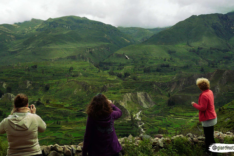 AREQUIPA COLCA CANYON FULL DAY TOUR ENDING IN PUNO