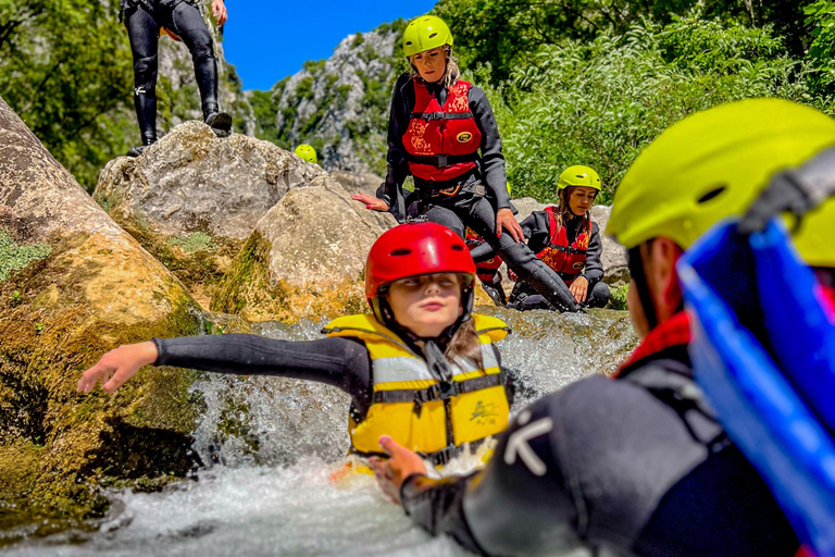 Desde Split: Barranquismo en el río CetinaRecorrido sin traslados