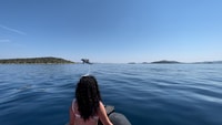 From Zadar, Speedboat Island Hooping tour with drinks - Housity