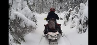 Carpathian Snowmobile Adventure Tour - Hizvo