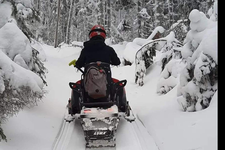 Excursión de Aventura en Motos de Nieve por los Cárpatos