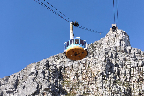 Cape Town: Table Mountain, Robben Island, & Dinner Tour