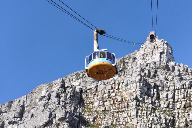 Cape Town: Table Mountain, Robben Island, & Dinner Tour