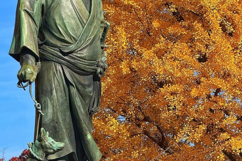 Kyoto Day Trip from Tokyo by Bullet Train Private Tour