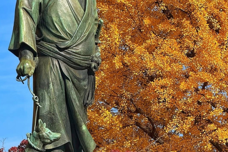 Kyoto Day Trip from Tokyo by Bullet Train Private Tour