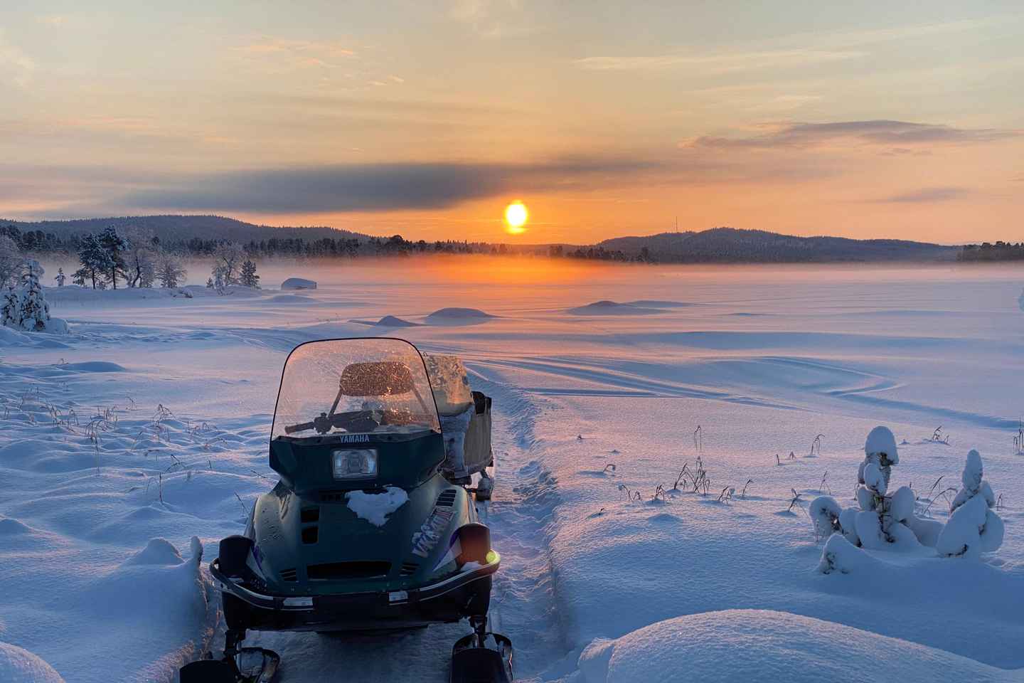 Pesca en hielo y degustación en el Lago Inari