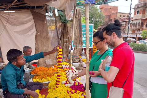 Jaipur: guided tour in French