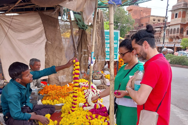 Jaipur: guided tour in French