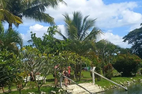 Fiji: Nadi Culture & Wellness Tour with Mud Pools & Garden Nadi Culture & Wellness Tour - Pick Up InterContinental