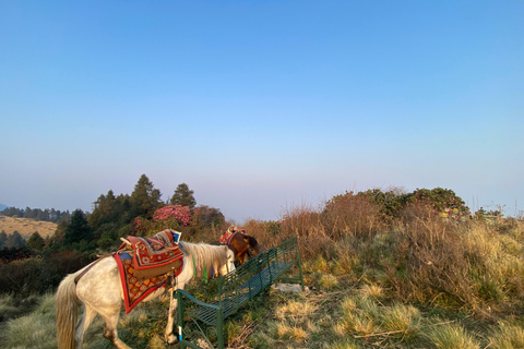 Odkryj Nepal: 12-dniowa wyprawa trekkingowa i dzika przyroda