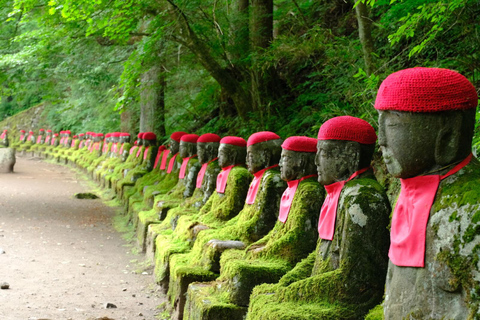 Von Tokio aus: Nikko World Heritage Sight Ganztagestour Private Tour