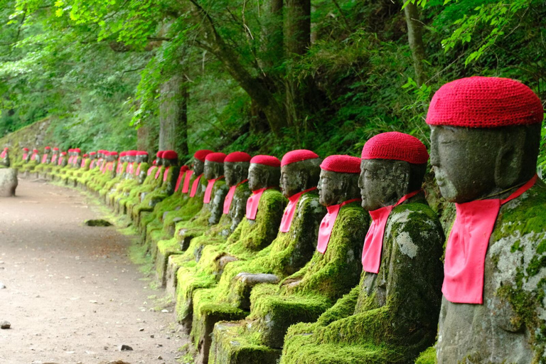 1-dniowa wycieczka: Poznaj światowe dziedzictwo i park narodowy Nikko