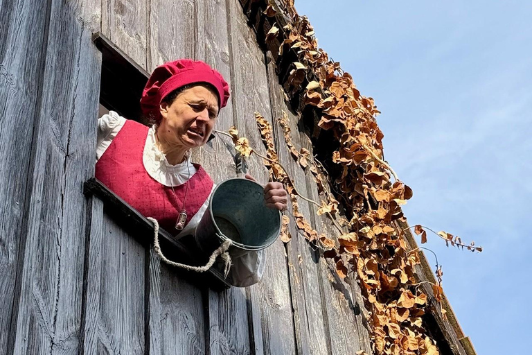 Nuremberg: Theater Tour "The Executioner's Wife"