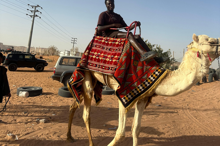 Riyadh:Red Sand Dunes camel ride&Quad&Sandboarding Adventure Private Tour with pick up and drop off from your location