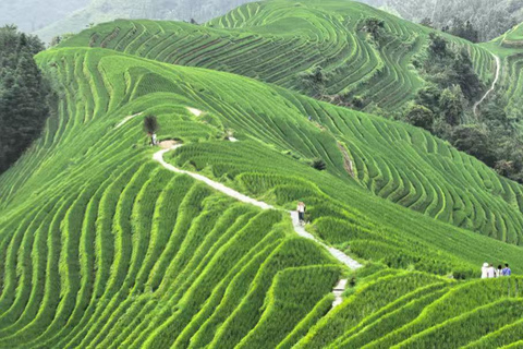 Guilin: In-Depth Longji Rice Terraces Day Trip with Lunch Group Tour