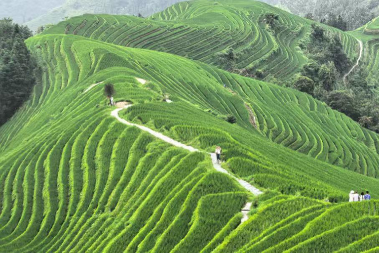 Guilin: In-Depth Longji Rice Terraces Day Trip with Lunch Group Tour