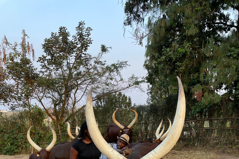 Kigali: King&#039;s Palace Museum &amp; Coffee Plantation Tour