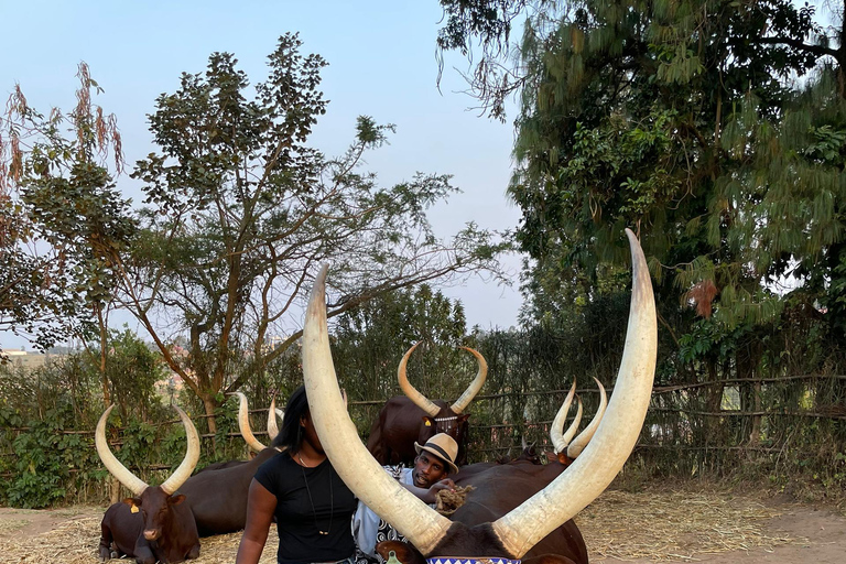 Kigali: King&#039;s Palace Museum &amp; Coffee Plantation Tour