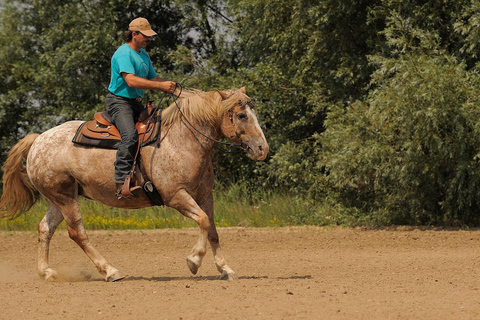 Izmir: Guided Horseback Ride Through Forest Paths 1-Hour Guided Horseback Ride Through Forest Paths