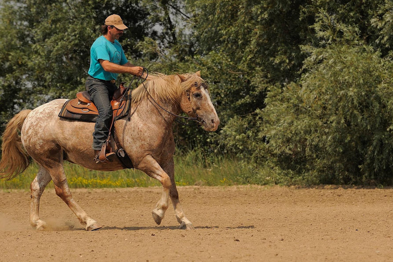 Izmir: Guided Horseback Ride Through Forest Paths 1-Hour Guided Horseback Ride Through Forest Paths