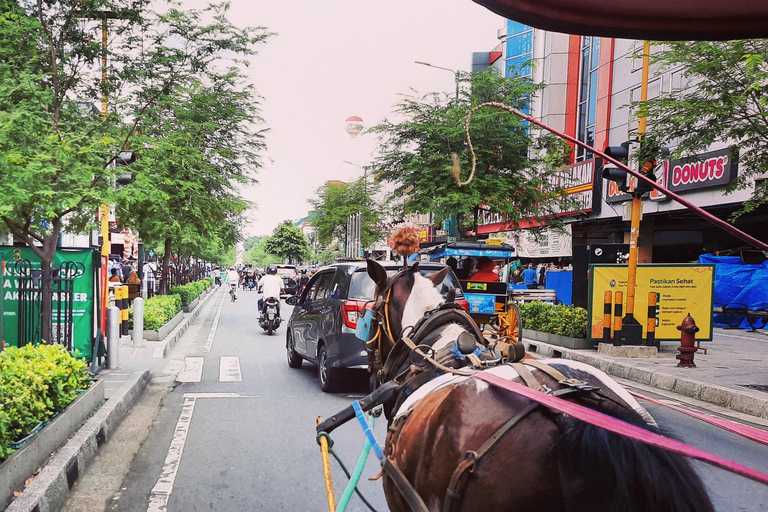 Yogyakarta : Affrètement d&#039;une voiture privée avec chauffeur professionnel