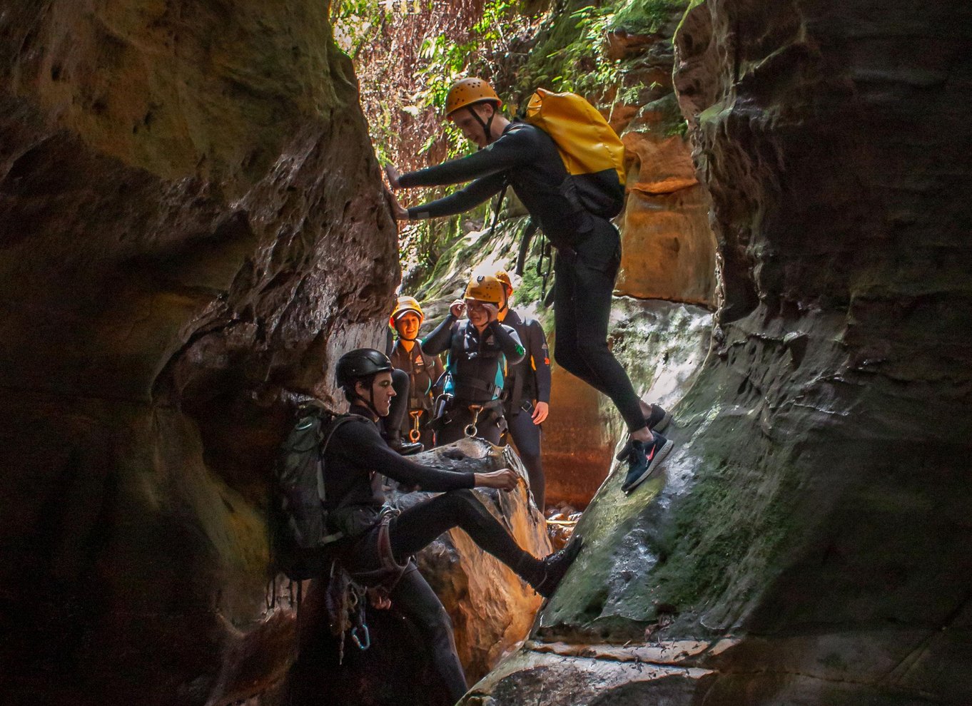 Blue Mountains: Abseiling og canyoning-oplevelse