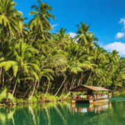Bohol: Chocolate Hills Tour with Loboc River Cruise & Lunch Bohol: Chocolate Hills Tour with Loboc River Cruise & Lunch