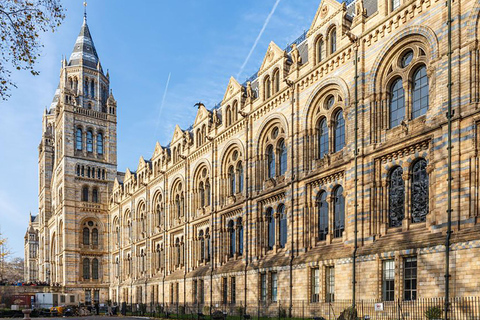 Discover Fossils & Gems at Natural History Museum