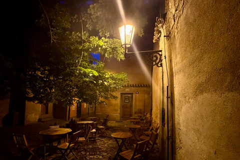 Prague: VIP Prague Castle Night Walk with Panoramic Views VIP Prague Castle Night Walk with Panoramic Views (German)