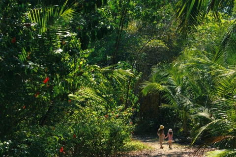 Kostaryka Reiseplanung - Maßgeschneiderte Reisen