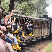 Pickup from City | Steam Train and Penguin Parade Day Tour