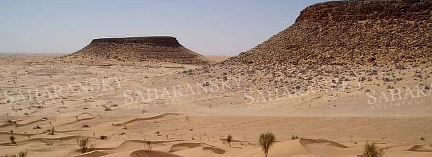Depuis Tozeur : Safari privé dans le désert du Sahara (nuit)