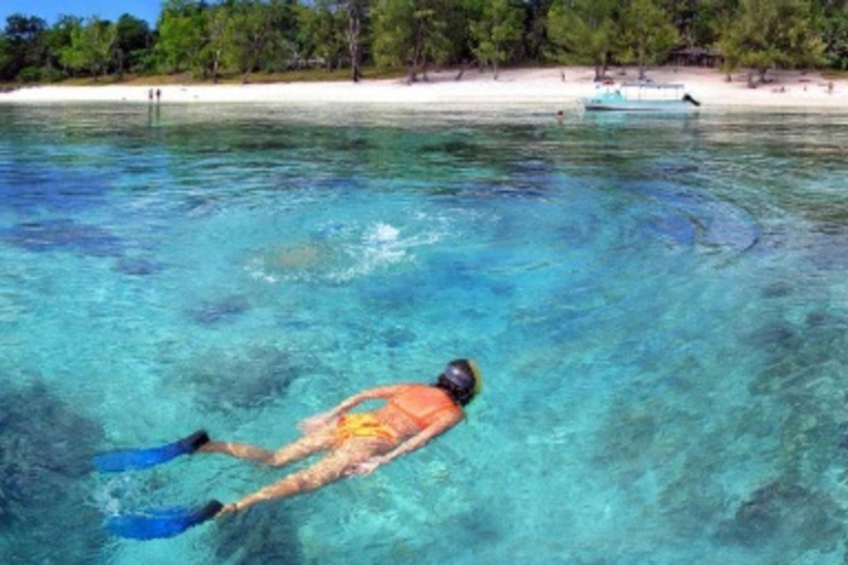 Port Vila: Lelepa Island Day Trip with Snorkeling & BBQ