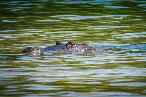 Depuis Tulum : Excursion en bateau à Sian Kaan avec déjeuner