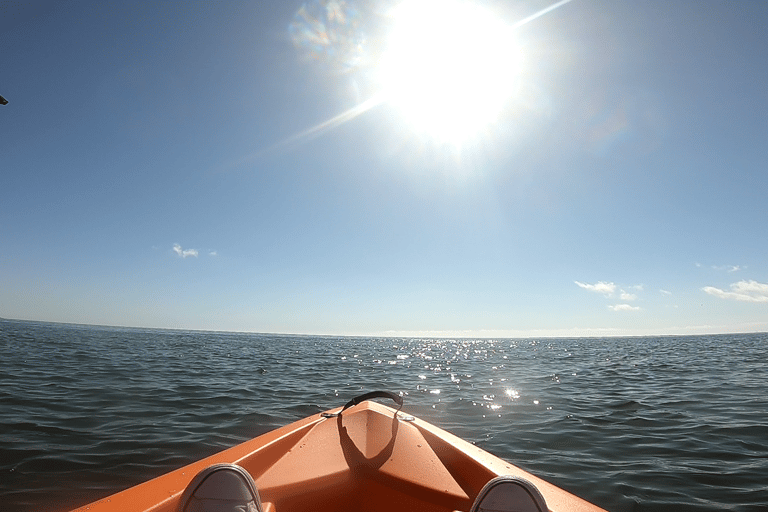 Swakopmund: Sunset Kayaking Tour with Hotel Pickup