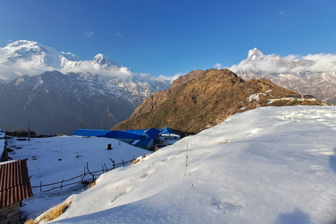 From Pokhara: 4-Night Mardi Himal Base Camp Trek