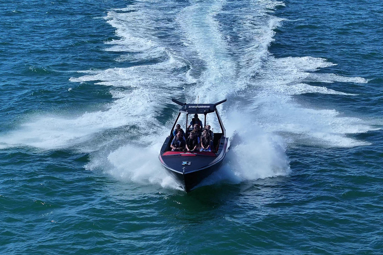 Noosa Thriller Whale Watching