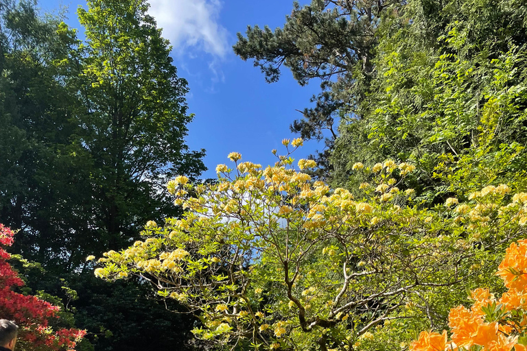 Belfast: Sir Thomas & Lady Dixon Park Walk & Alfresco Picnic