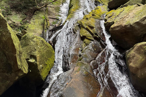 3 Tage und 2 Nächte Magoroto-Wald-Tagestour von Sansibar aus mit dem Flugzeug