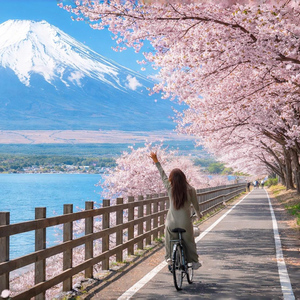Tokyo: Mt. Fuji 6 Attractions: Lake Kawaguchi, Oshino Hakkai