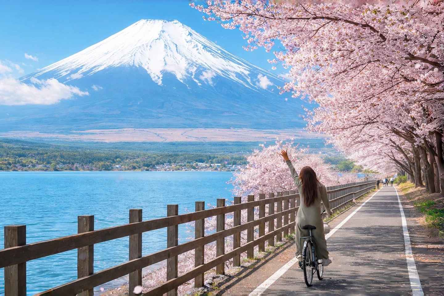 Tokyo: Mt. Fuji 6 Attractions: Lake Kawaguchi, Oshino Hakkai