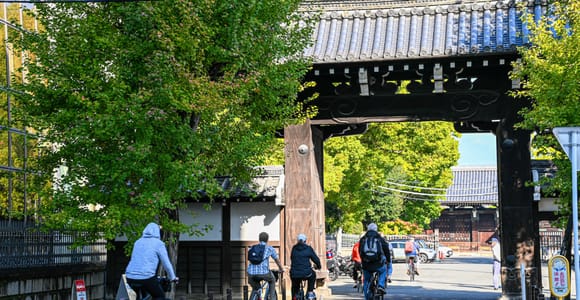 Kyoto: North Kyoto Guided Cycling Tour with Lunch