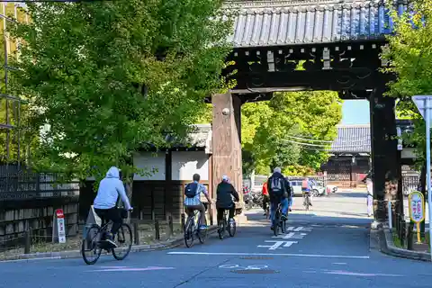 Kyoto: North Kyoto Guided Cycling Tour with Lunch