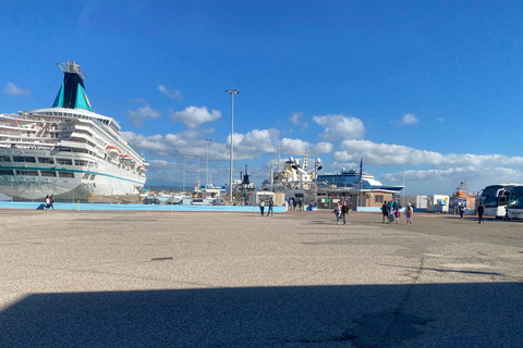 Ancient Olympia: Agrotourism tour, honey, wine, and oil tasting.