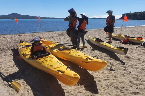 Excursion en kayak de mer sur l'île de Browns MotukoreaRéservation de groupe